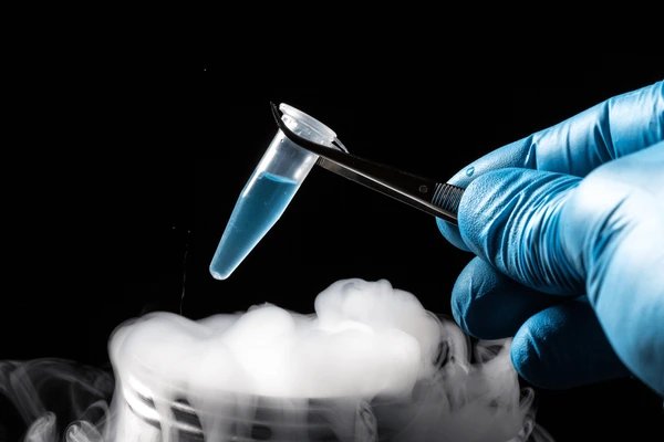 Cryopreservation